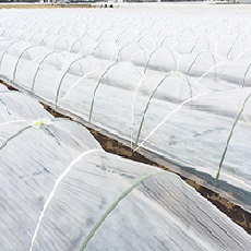 農ビロジーナ　厚さ0.05mm