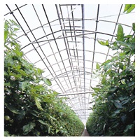 ダイヤスター ＵＶカット