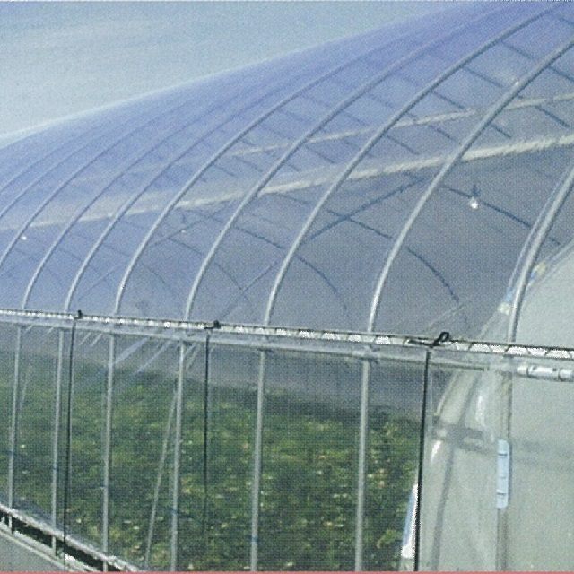 ＰＯ　イースターＵＶカット