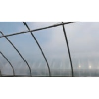 美サンランイースター (加工品）