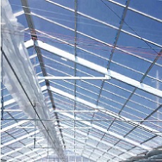 花野果 蒼天 厚さ0.15mm