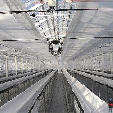 サニーコート（内張用）