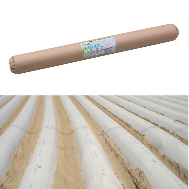 イワタニ 土壌消毒用ハイバリアー 白黒 厚さ0.02mm