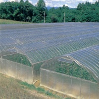 農ビ加工片テハ　厚さ0.1mm
