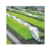 シルバーポリトウ水稲用　＃80