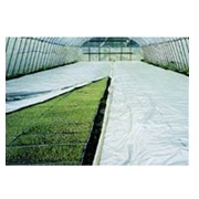 シルバーラブ#90