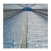 シルバーホッカ