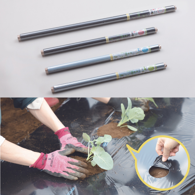 イワタニ 家庭菜園用フリーホールマルチ