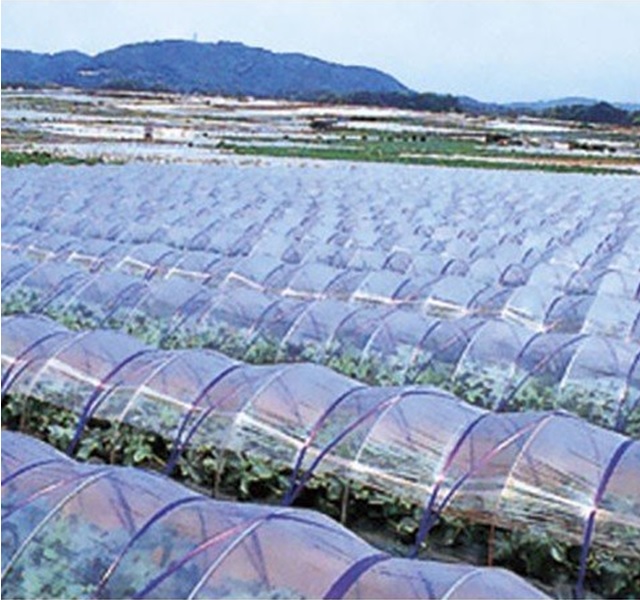 農業用ポリエチレン（農ポリ）透明マルチ 厚さ0.05mmX長さ100ｍ