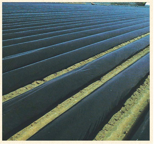 オリジナル国産黒マルチ 厚さ0.03ｍｍＸ長さ200ｍ