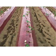 ハイヒートマルチ