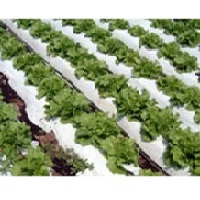 リバースマルチ白黒