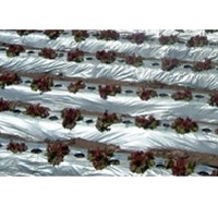 リバースマルチ銀黒