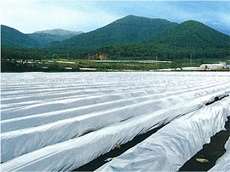 ツインマルチ 銀黒　厚さ0.023ｍｍ