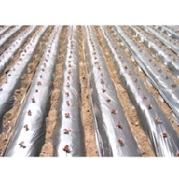 ヒムシー銀黒 厚さ0.025mm