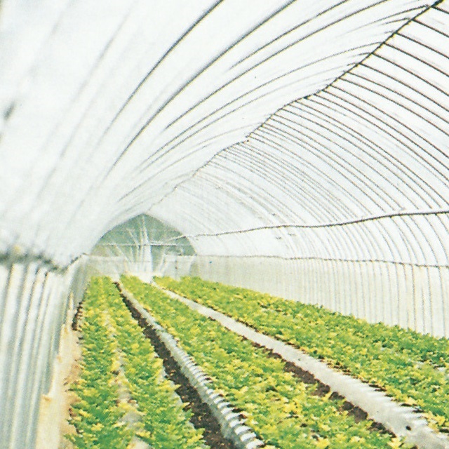 キリヨケバーナル（原反）厚さ0.1mm