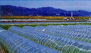 FRPトンネル支柱　丸型