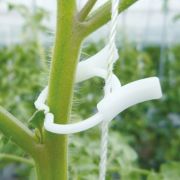 誘引クリップ「トップリング」