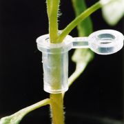 元祖接ぎ木クリップ「スーパーウィズ」