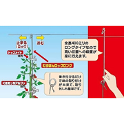 むすばんロックロング