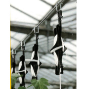 ひもまきロック