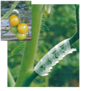 フレキシブルサポート