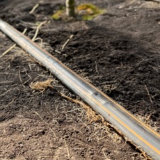 タイフーンプラス