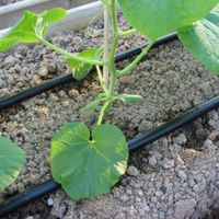 ユニラムRC　17-2.3-03 WB6776