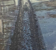 国産散水チューブ AGうるお～す（平行タイプ）