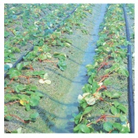 スミサンスイM-03