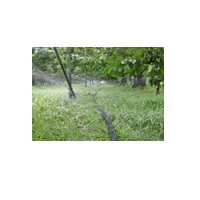 スミサンスイＲ横とび