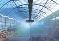 ミストエース20ポット育苗