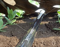 ネオドリップいいね