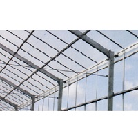 ＰＯ 美サンランダイヤスター