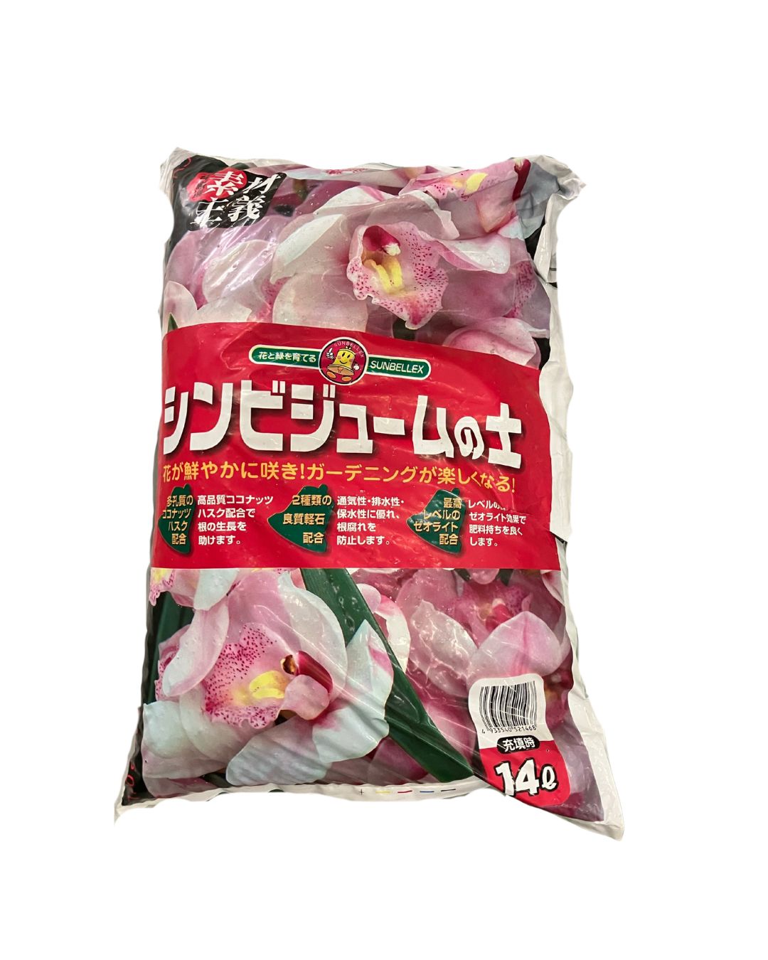 アウトレットシンビジュームの土