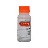 エクシレルＳＥ