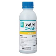 フォリオゴールド