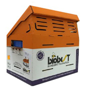 ハニートーンクロマルハナバチ