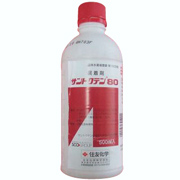 サントクテン８０