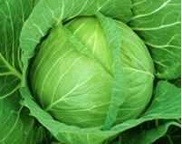 みくに ペレットL5千粒