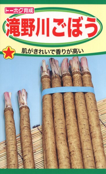 滝野川ごぼう