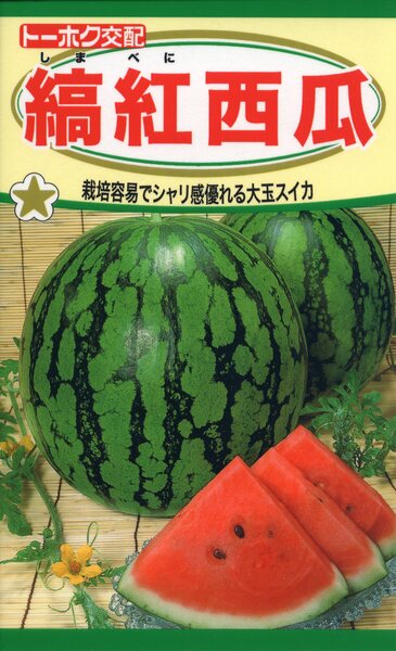 F1　縞紅西瓜