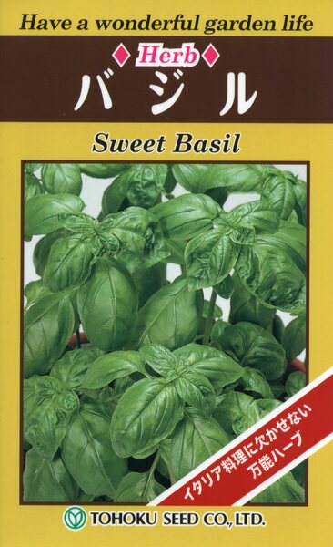 ハーブ　スイートバジル