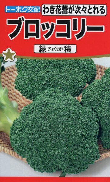 F1　ブロッコリー　緑積