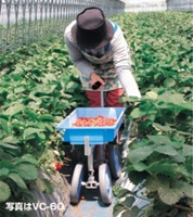 ベリコロ　アルミ製　いちご収穫用台車