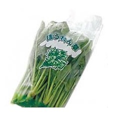 ほうれん草袋（フラスコ型）