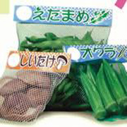 口紙パチパチ君