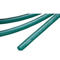 ゴールデンファミリー