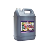 アンナプルナ　アクセル