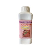 ベリーニームＳ